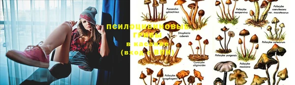 дурь Абаза