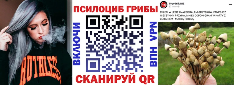 Псилоцибиновые грибы прущие грибы  Тырныауз 